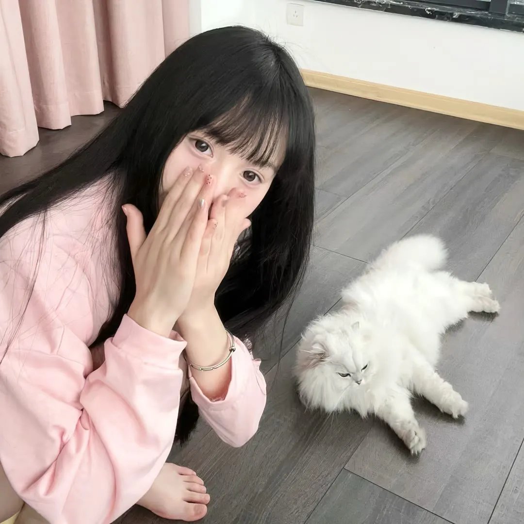 下一站彩虹粤语